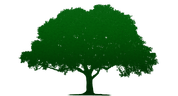 Tree Service Pros of Frisco logo